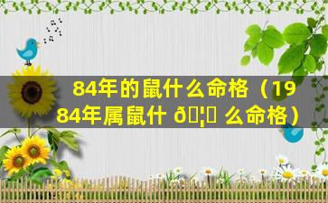 84年的鼠什么命格（1984年属鼠什 🦍 么命格）